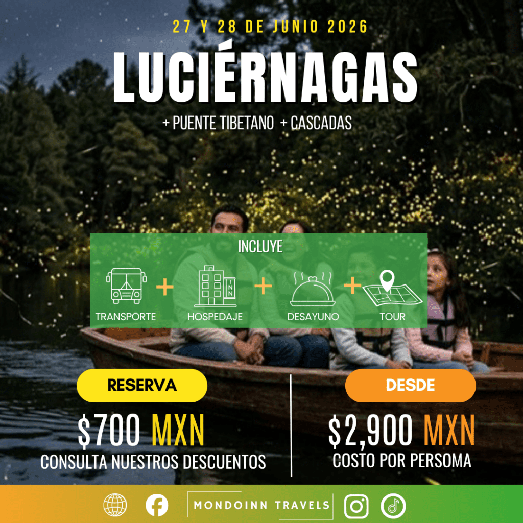 LUCIERNAGAS 27-28